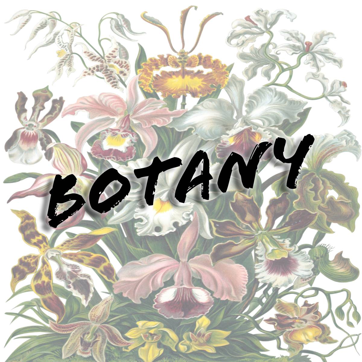 Botanical