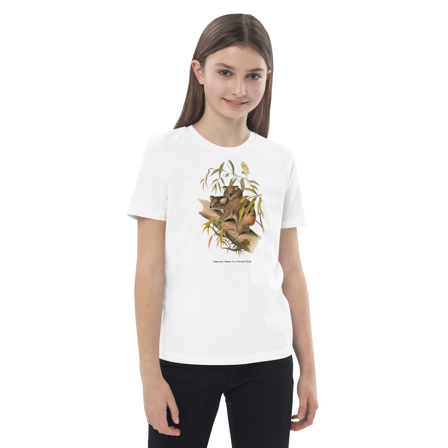 Koalas | Elizabeth Gould - kids tee ♂♀