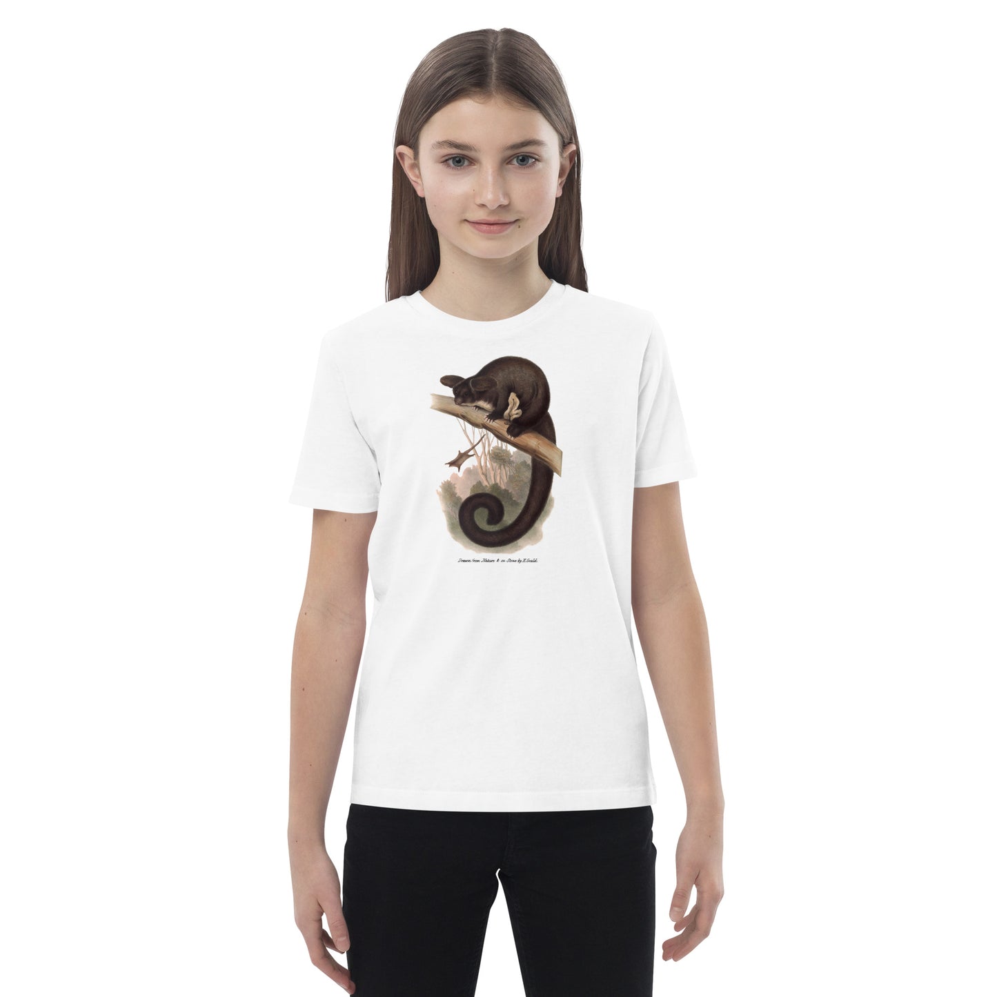 Flying Squirell | Elizabeth Gould - kids tee ♂♀