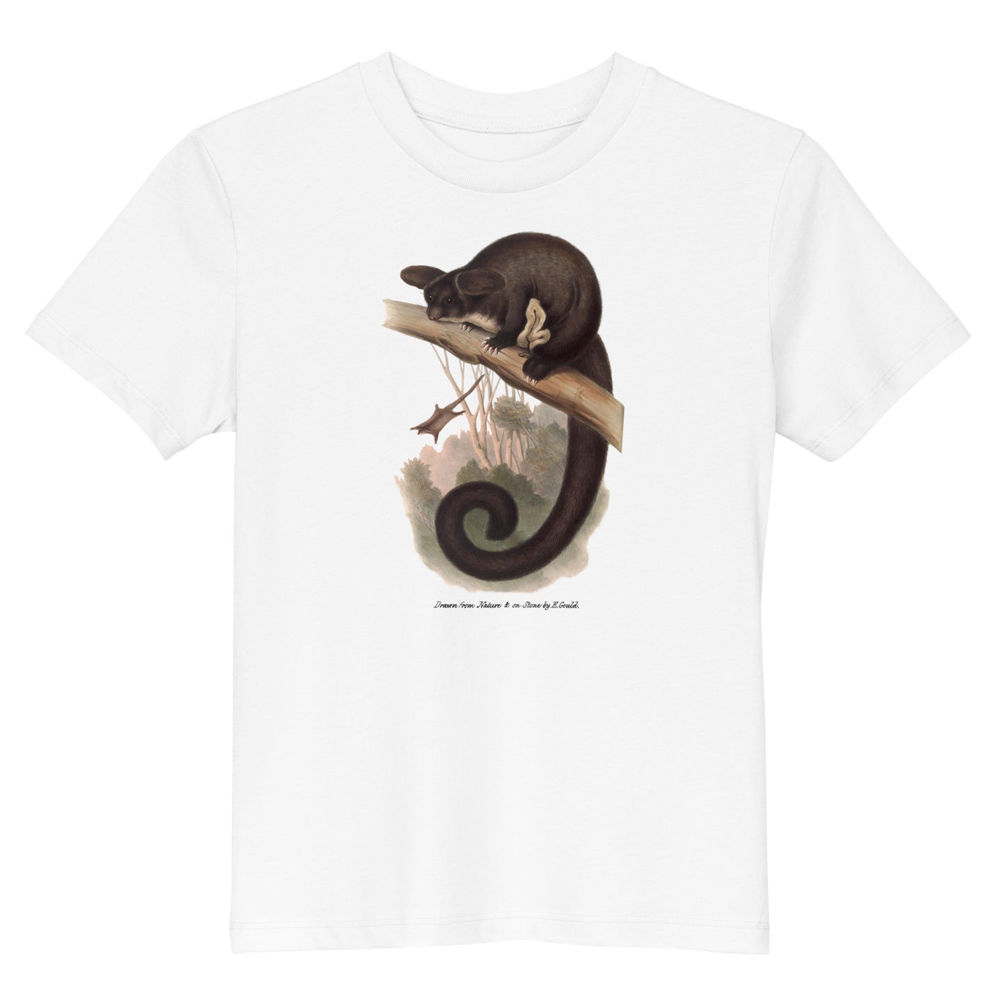 Flying Squirell | Elizabeth Gould - kids tee ♂♀