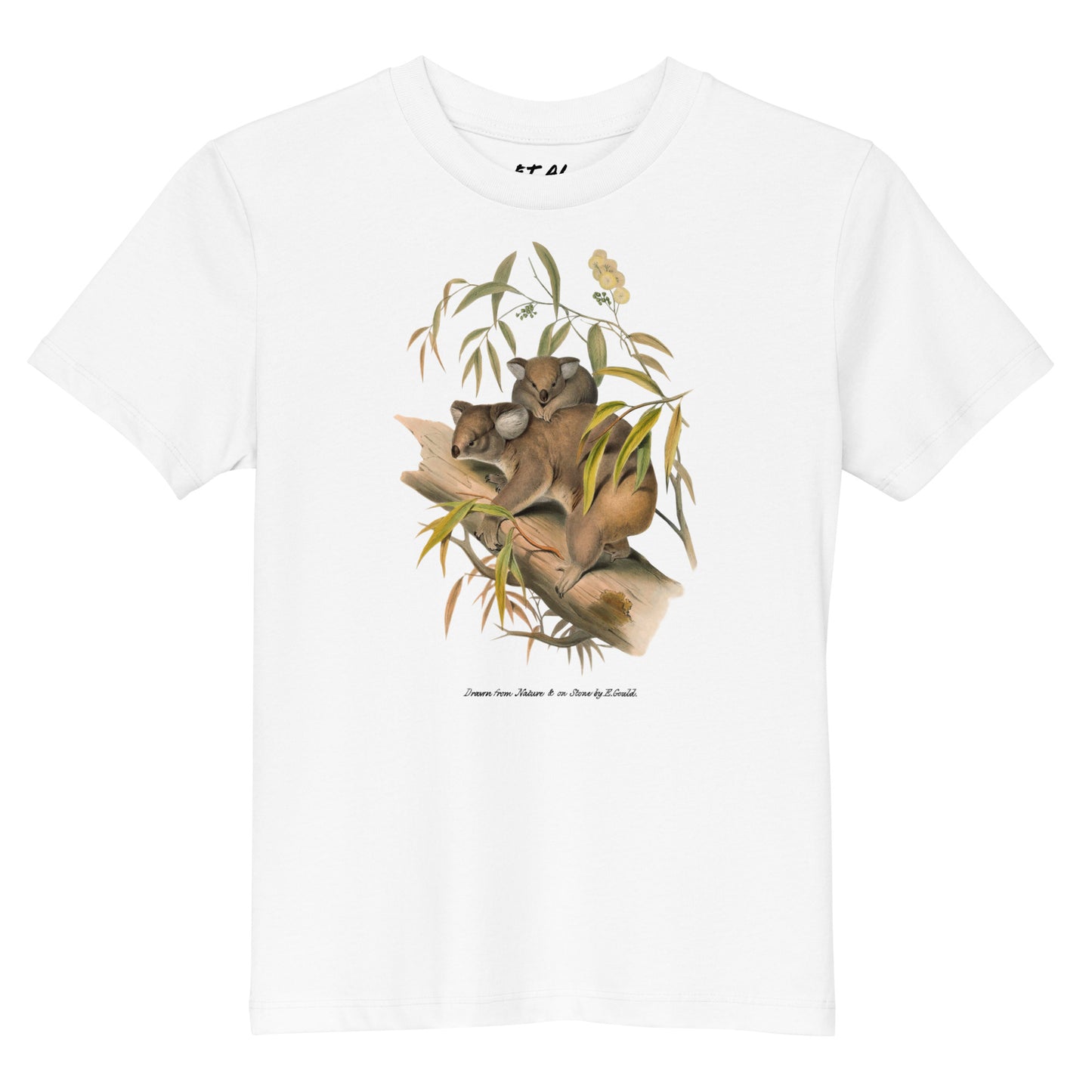 Koalas | Elizabeth Gould - kids tee ♂♀