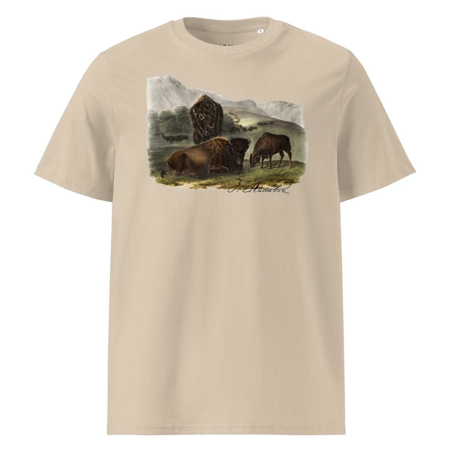 American Bison | John Audubon ♂♀