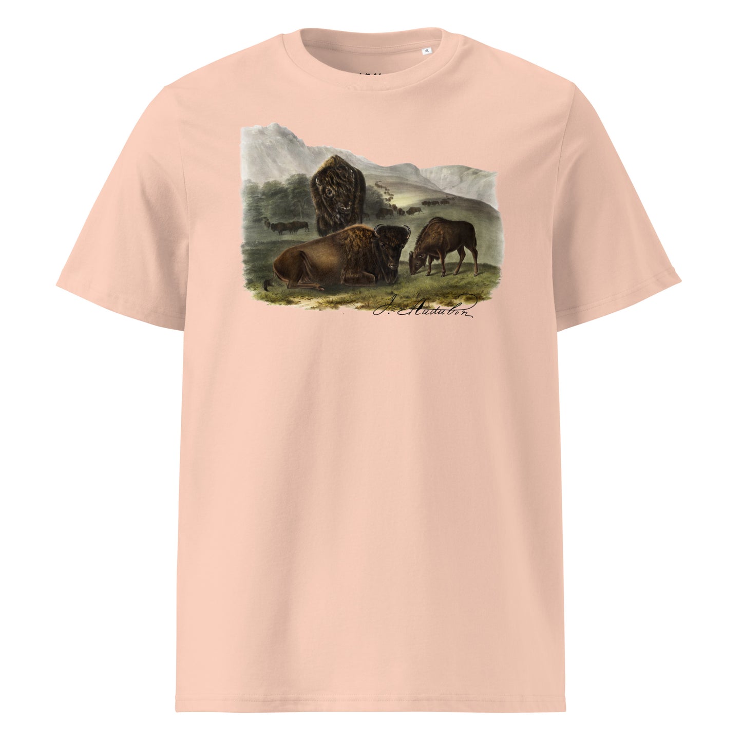 American Bison | John Audubon ♂♀