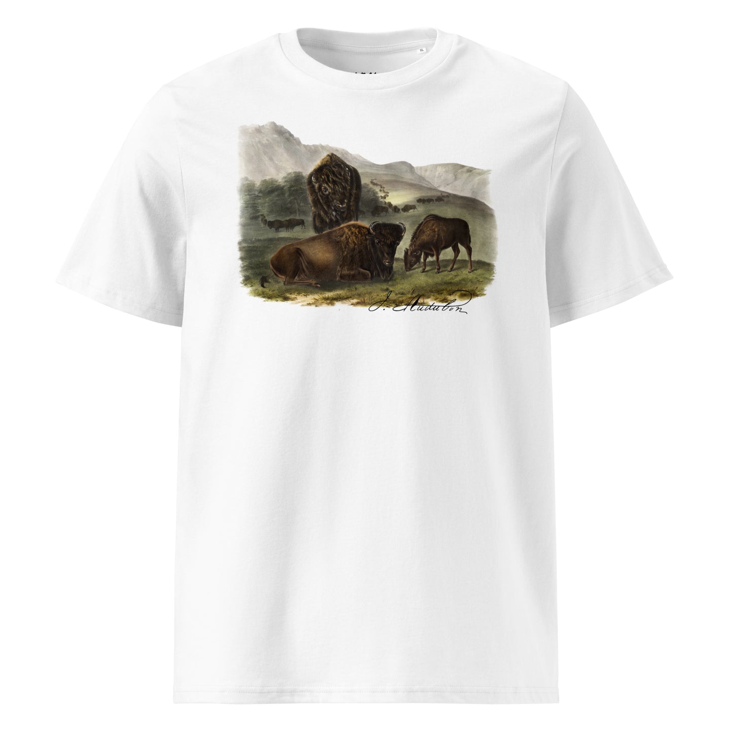 American Bison | John Audubon ♂♀